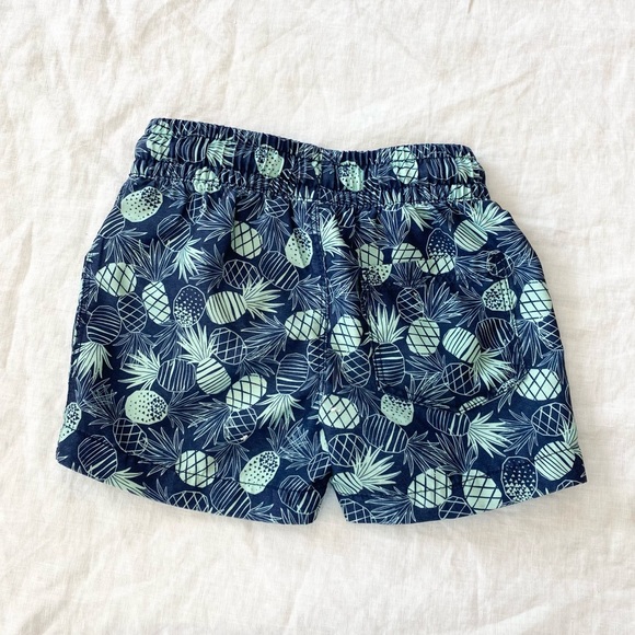 ✨Host Pick✨ Pineapple Print Swim Trunks - Picture 2 of 7